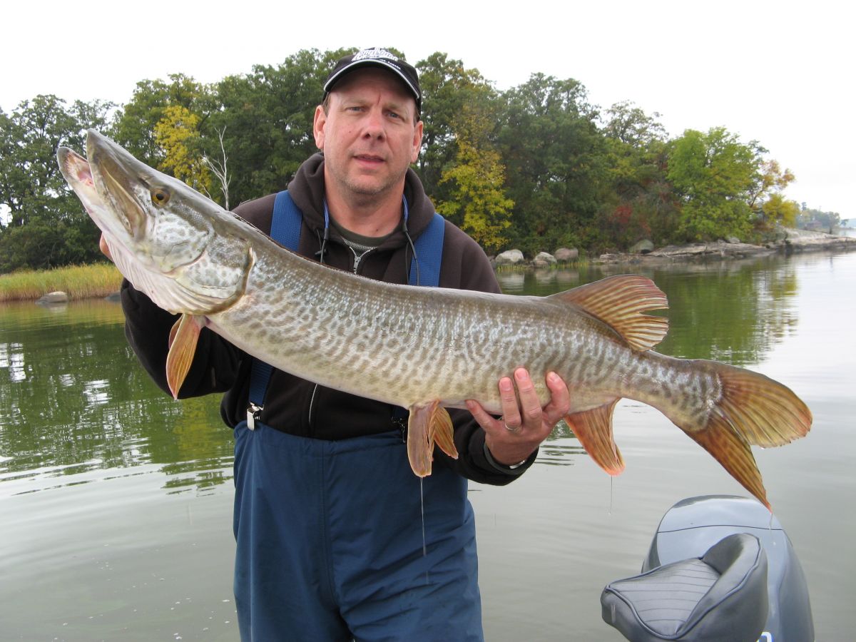 Muskie Fishing on Lake of the Woods