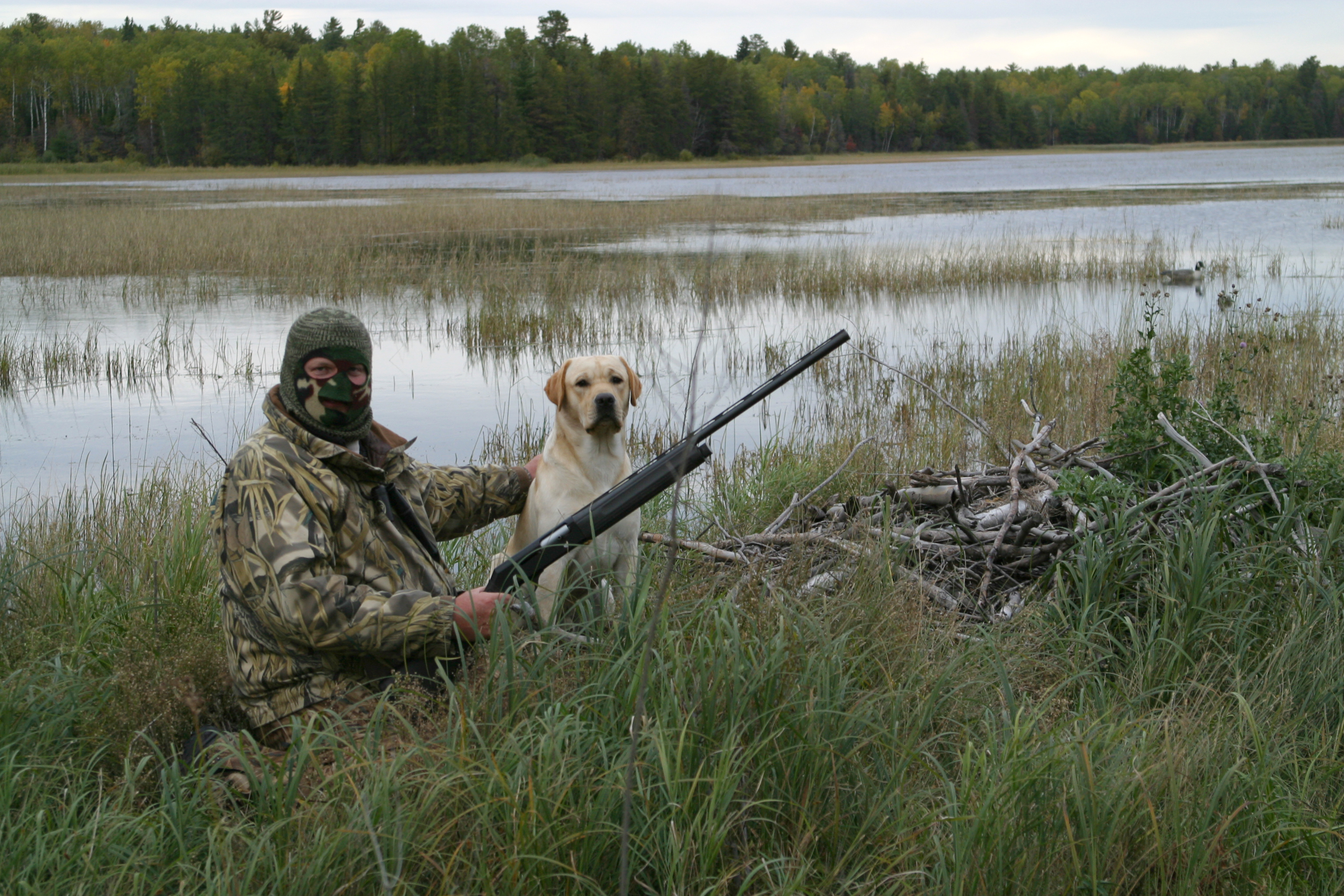 Rainy Lake duck hunting