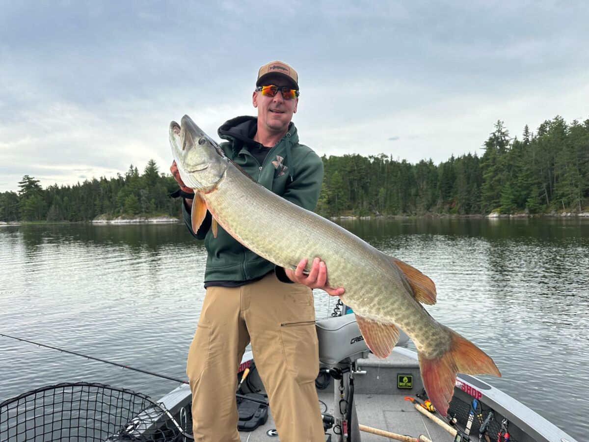 a 48-inch muskie caught on Sabaskong Bay, Lake of the Woods at King Island Lodge.
