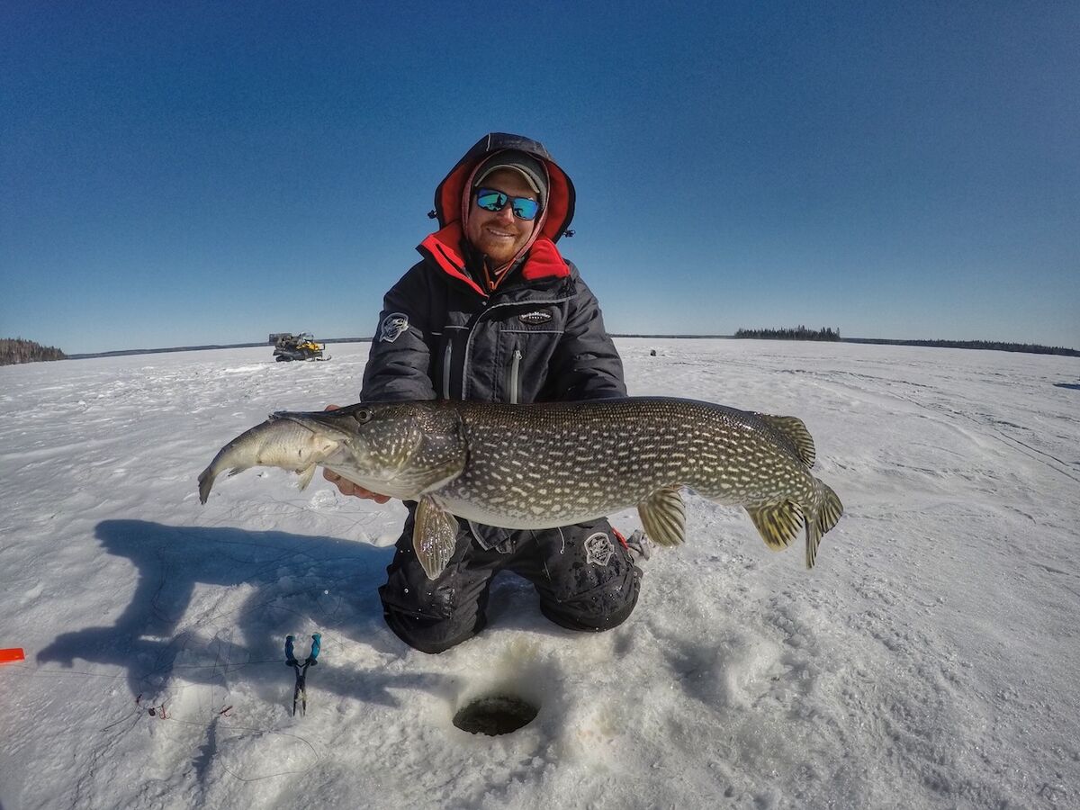 Using a dead ciso to catch big pike is a sure-fire strategy.