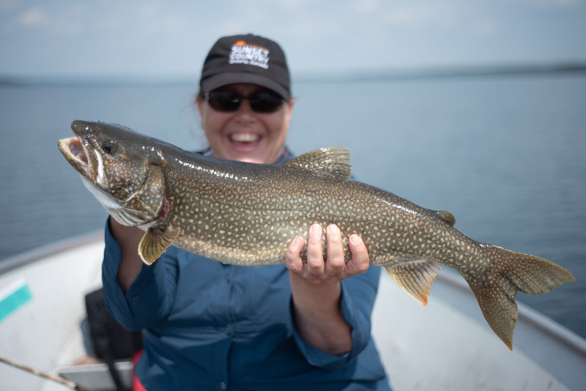 Lake trout caught on Troutfly Lake, Ontario