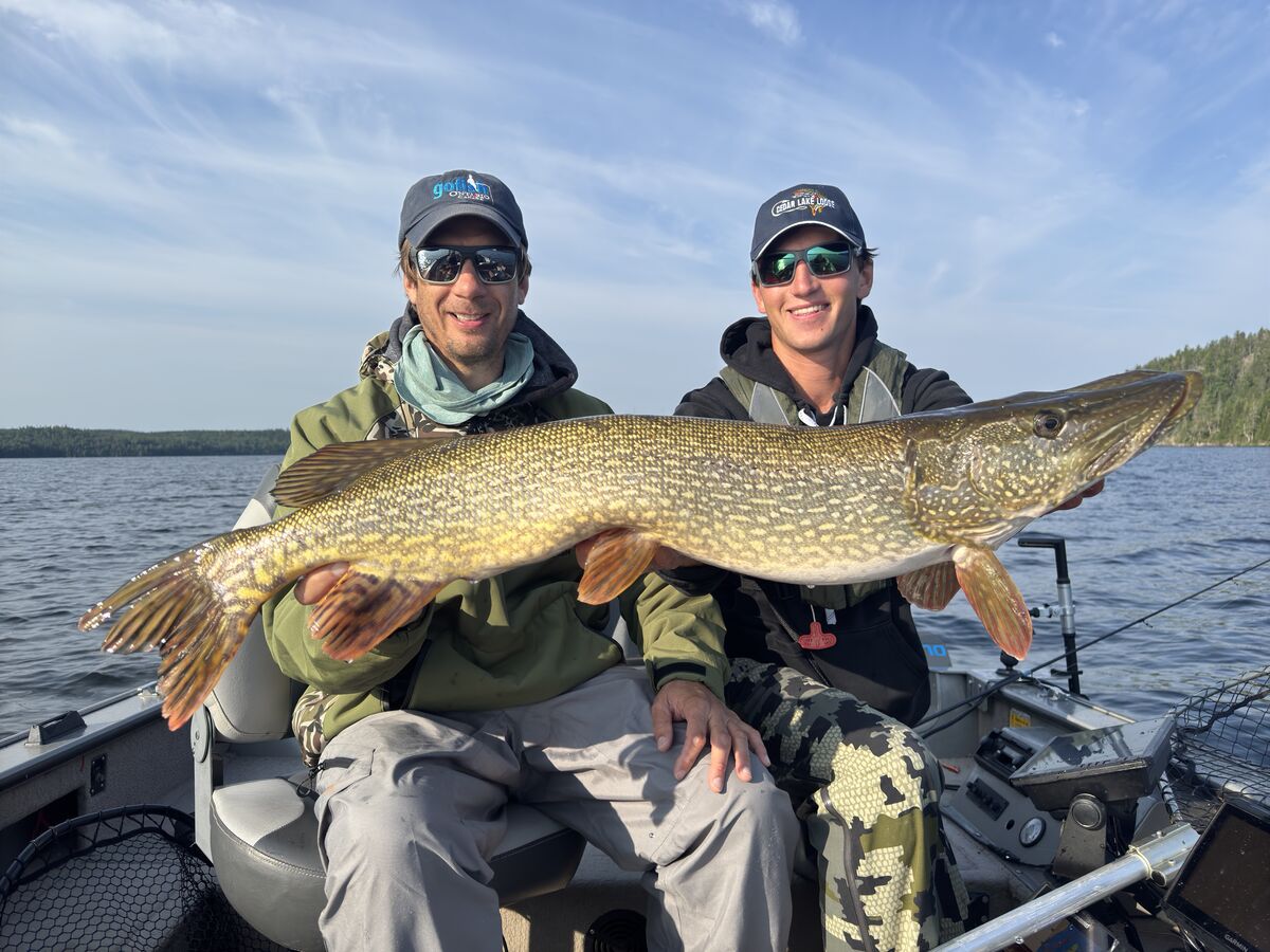 Big pike caught on Cedar Lake in Ontario. 