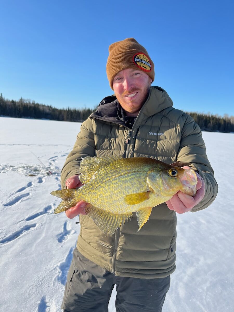 Black crappie are often caught through the ice.