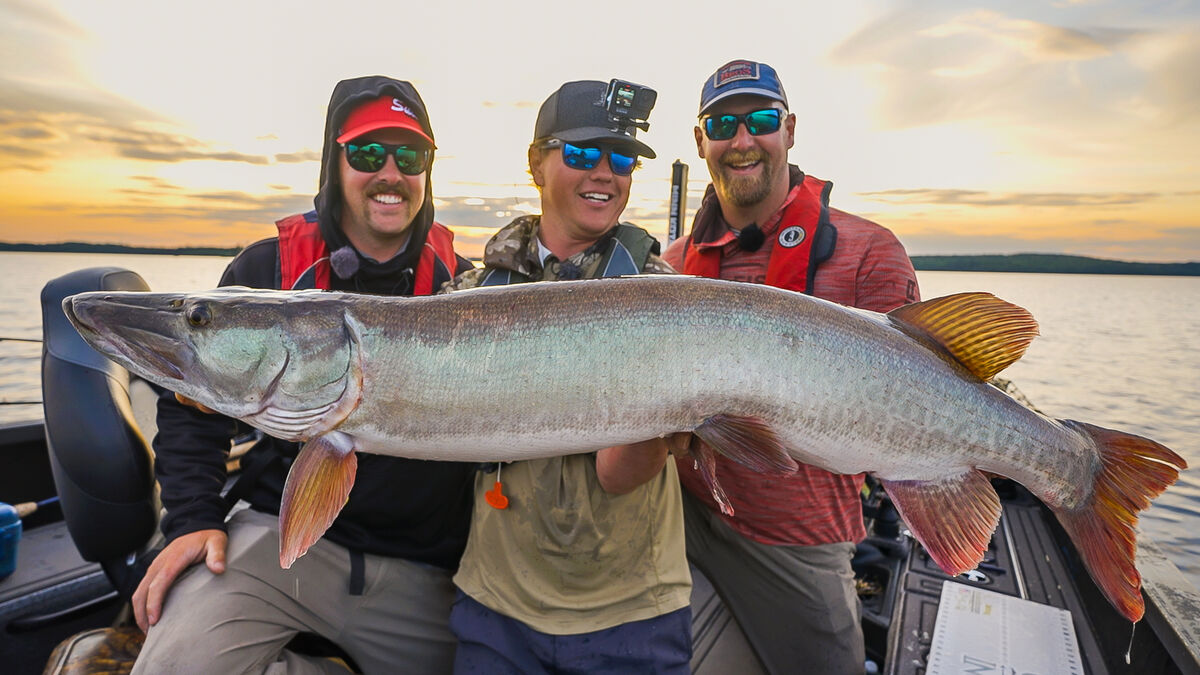 Muskie caught in Lac Seul.