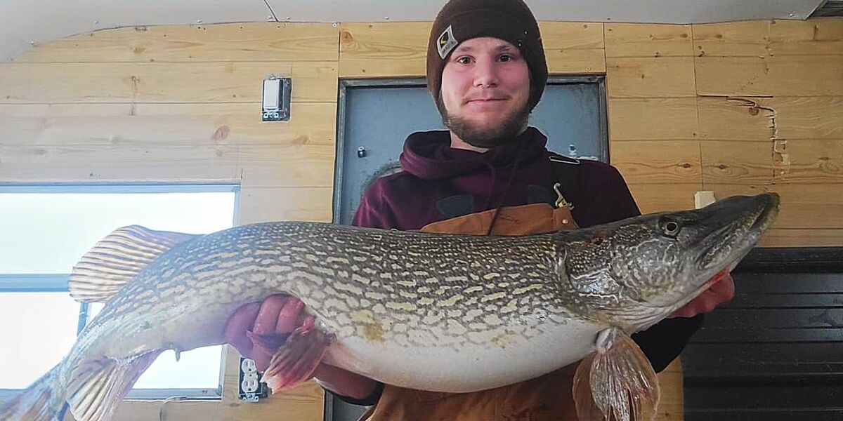 Big pike caught ice fishing on Lake of the Woods