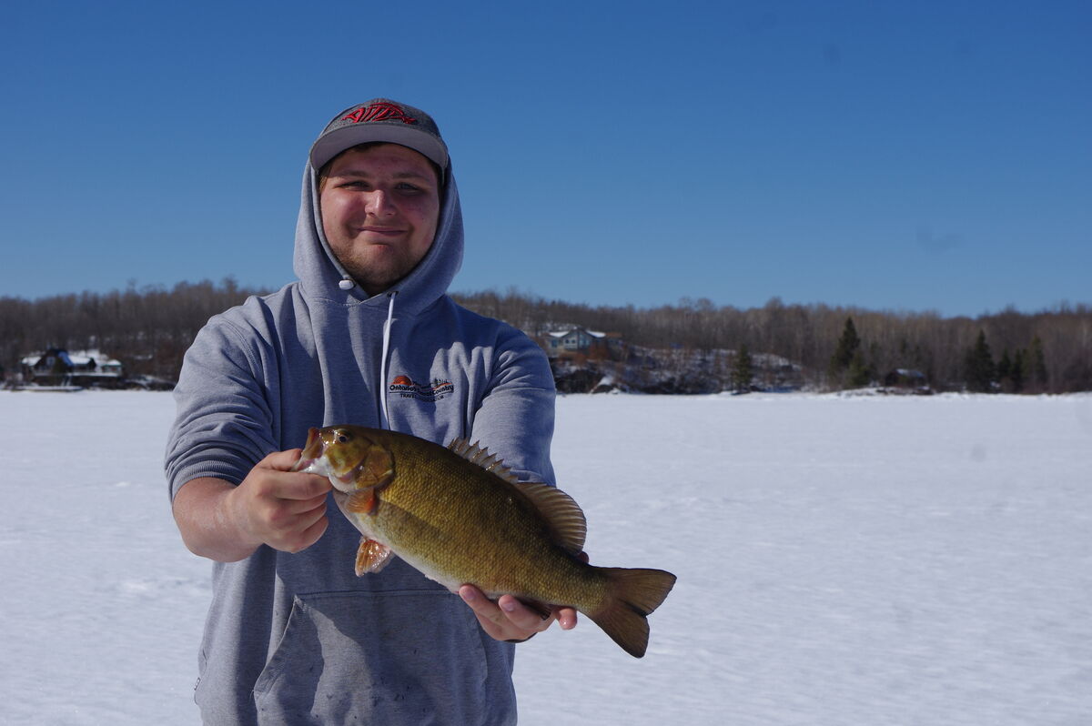 Smallmout bass caught ice fishing in Sunset Country Ontario