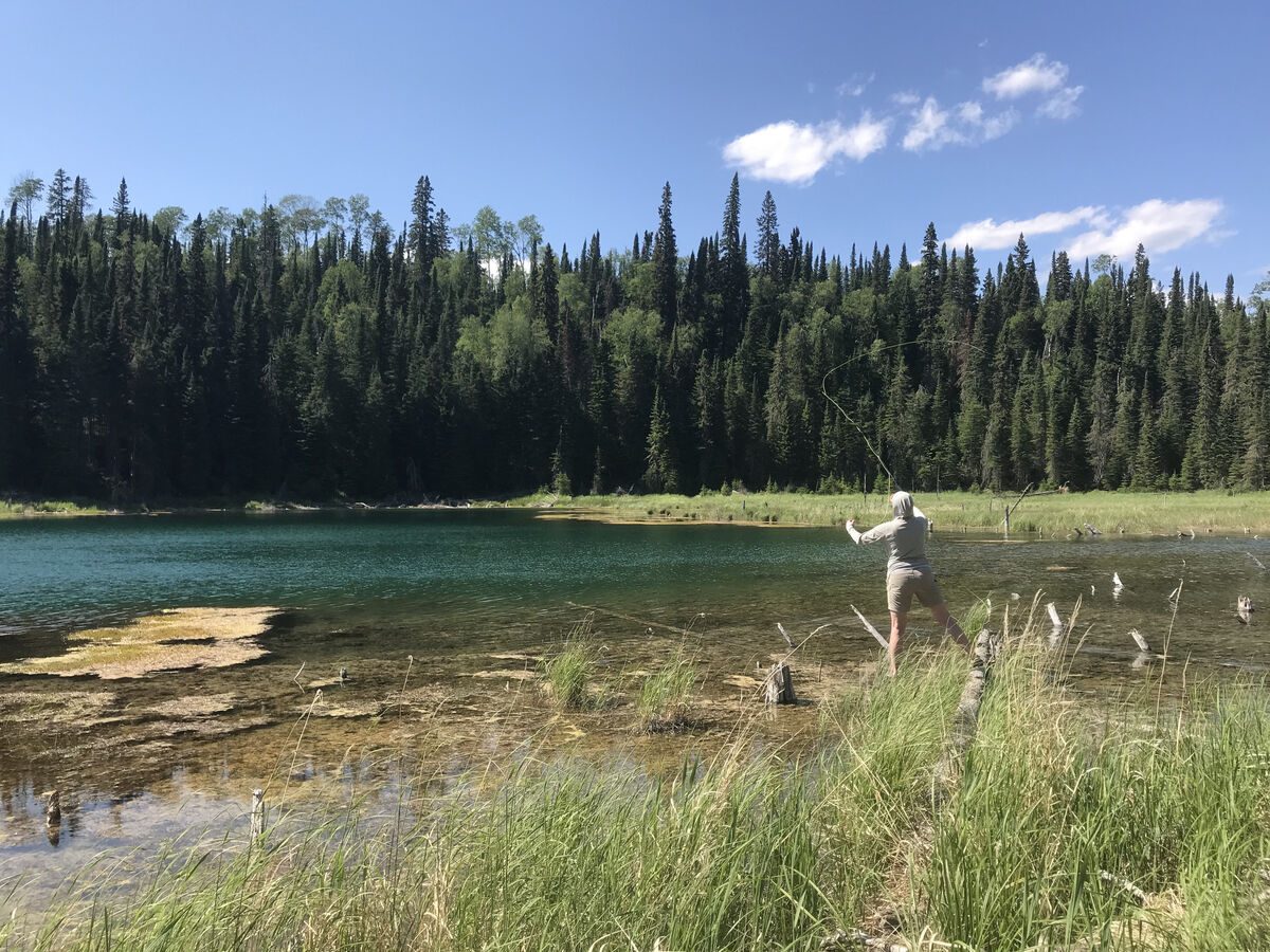 Fly fishing at Troutfly Lake