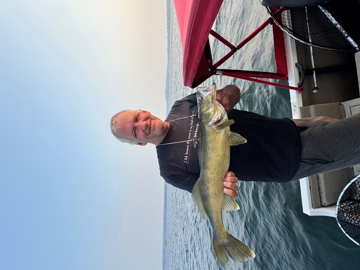 Nice walleye caught and released on Lake of the Woods.