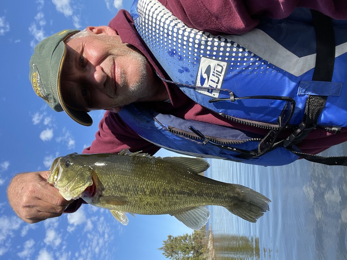 largemouth bass fishing