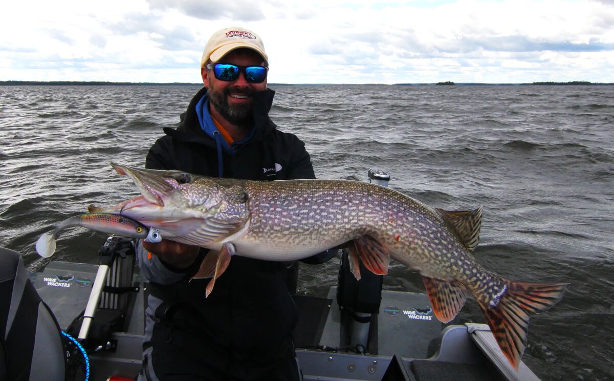Northern pike caught on Lac Seul.