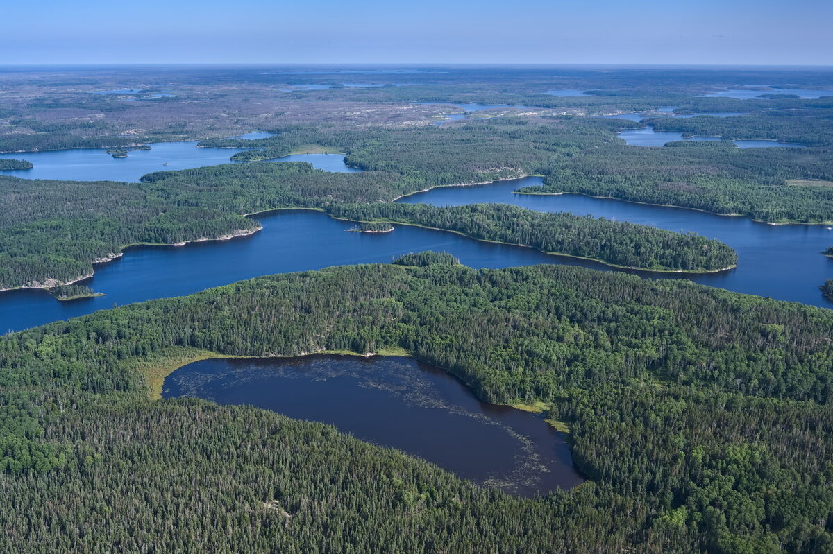 Woodland Caribou Park