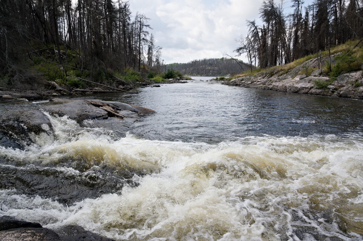 Paddling in Woodland Caribou Park - Image by Pierre Dube