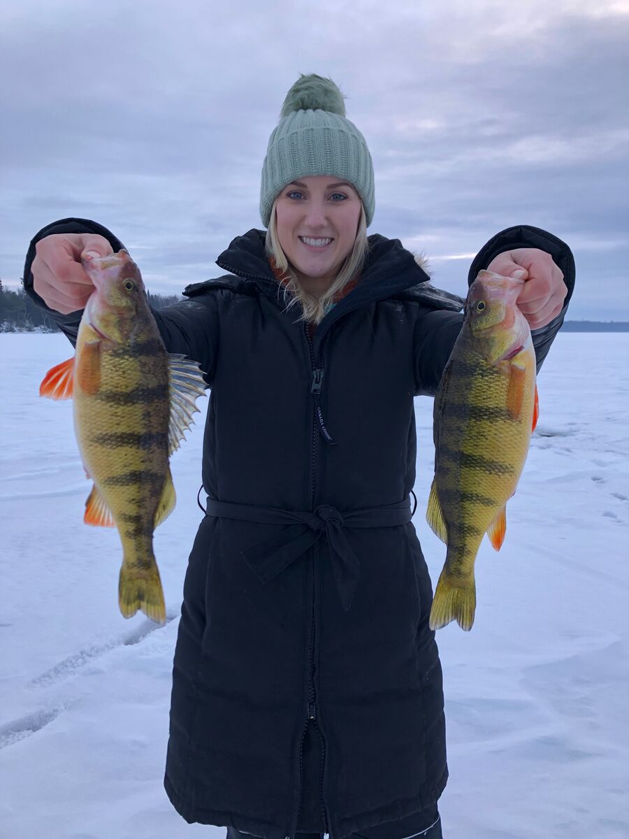 Catching perch through the ice on Lake of the Woods, Ontario, Canada