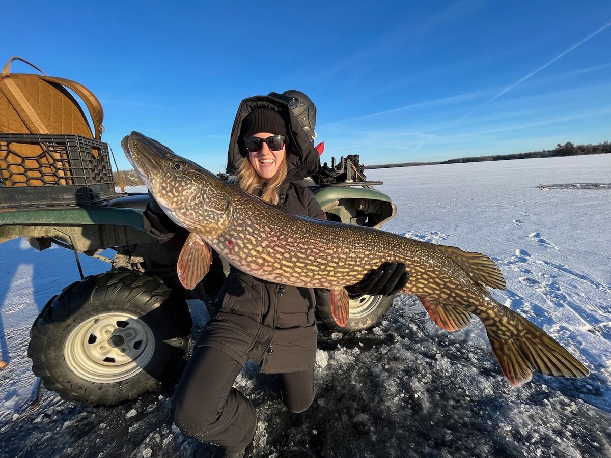 Walleye, lake trout, northern pike can all be caught through the ice.