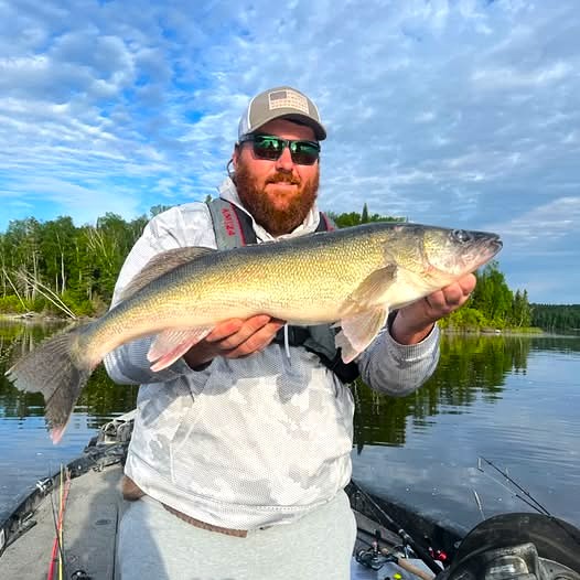 Walleye caught at Timberlane Lodge