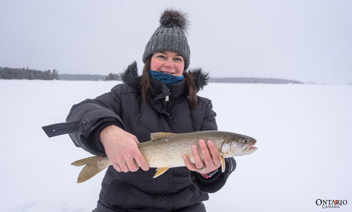 lake trout are one of the species you can catch when you go ice fishing in Ontario