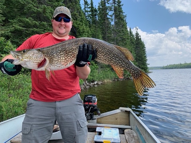 Trophy pike fishing at viking island lodge