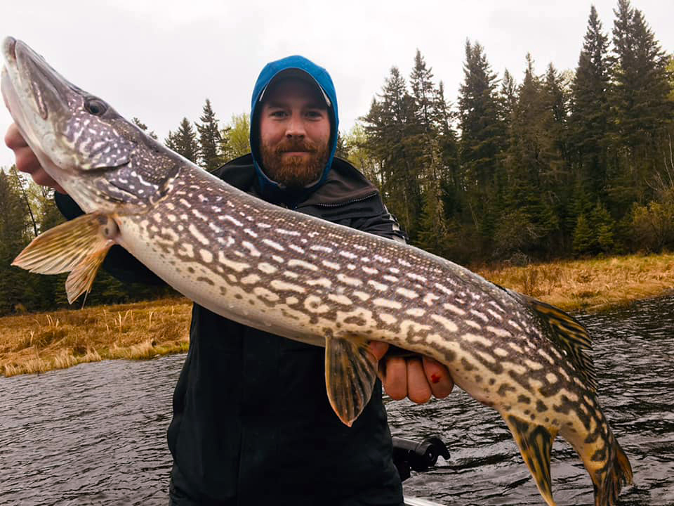 Eagle Lake Northern Pike Fishing