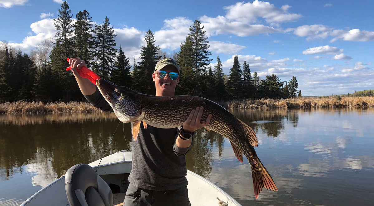 Northern pike fishing early in the season at Halley's Camps