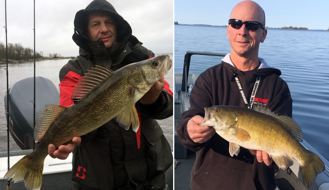 Walleye and bass fishing at Harris Hill Resort on Lake of the Woods