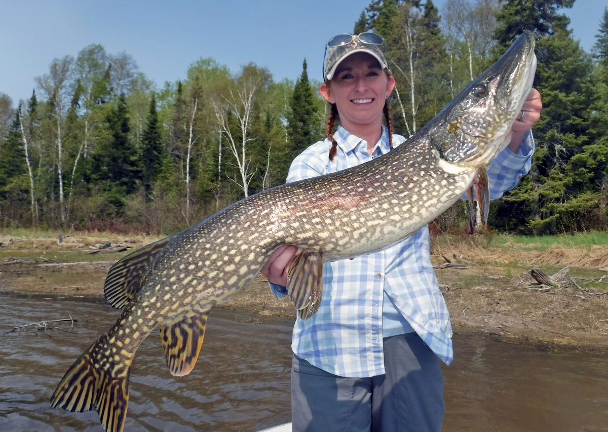 Northern Pike fishing near Sioux Lookout