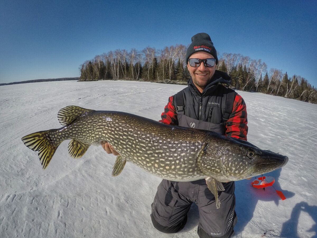 Catch giant lakers through the ice