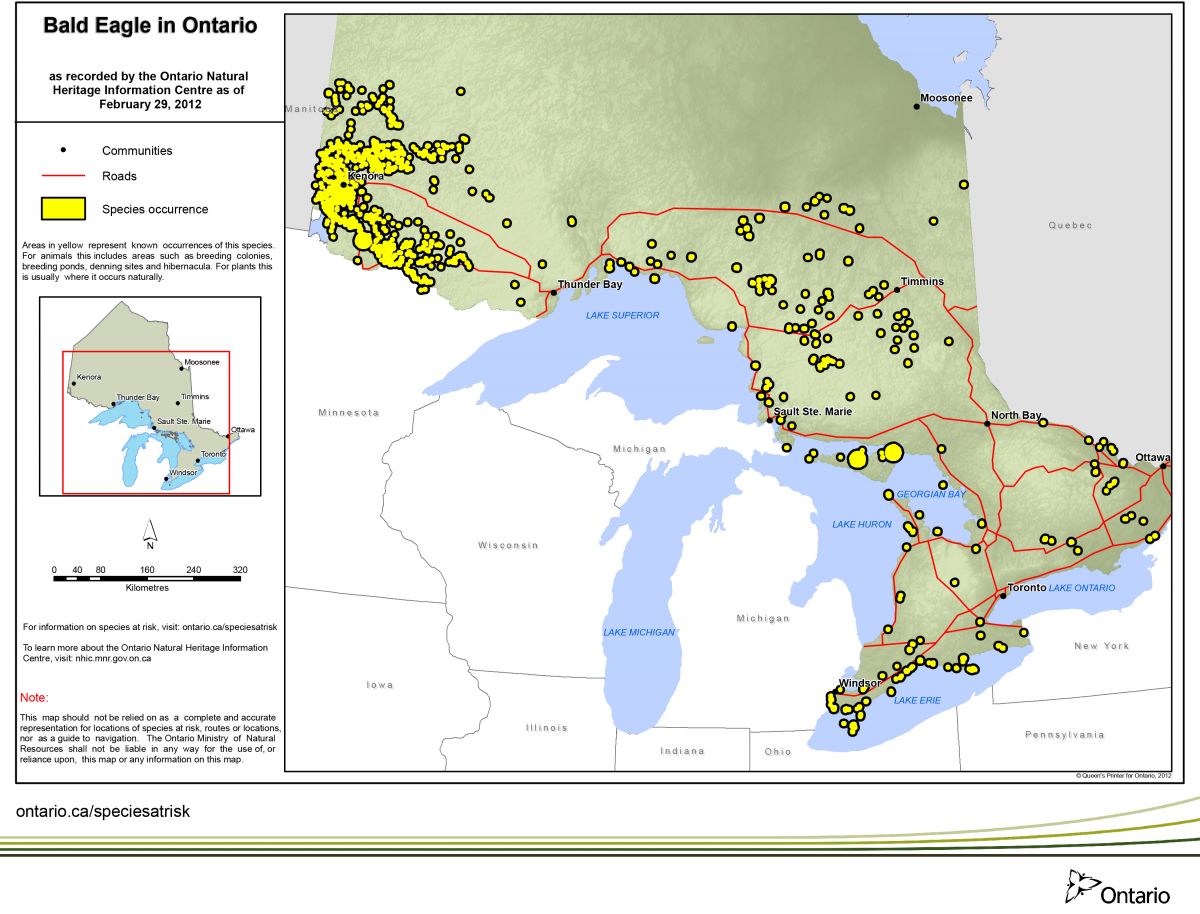 Map of bald eagles in Ontario