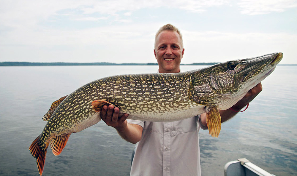 Northern pike fishing on Lake St. Joseph at Old Post Lodge.