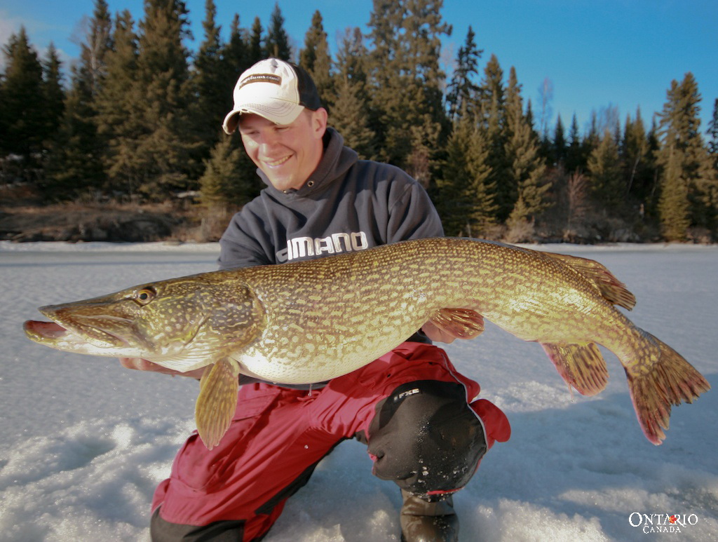 Jeff Gustafson with a giant pike caught through the ice.