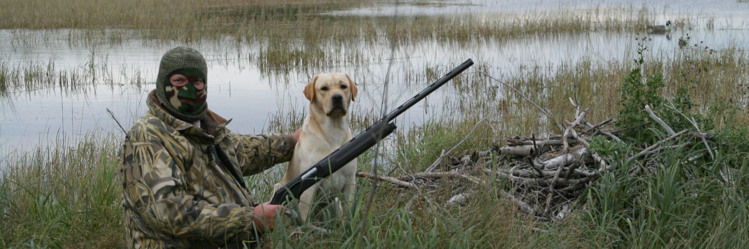 Duck Hunting In Sunset Country, Ontario, Canada