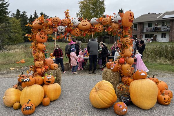 Image of Harvest Hay Day 