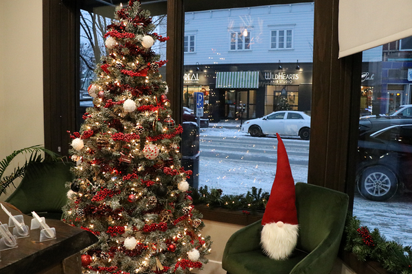 Image of Festival of Trees