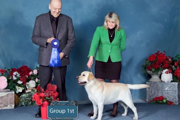 Image of Kenora District All Breed Championship Dog Show