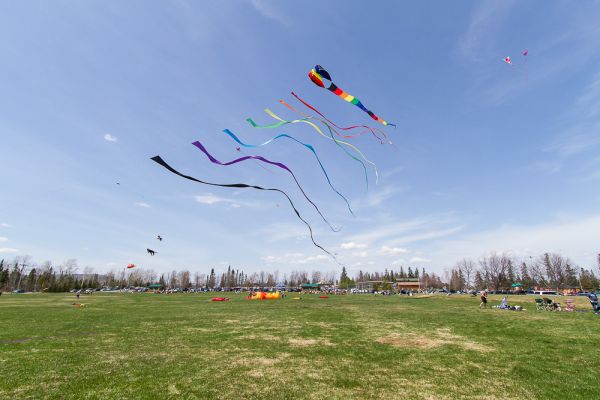 Image of Kite Festival