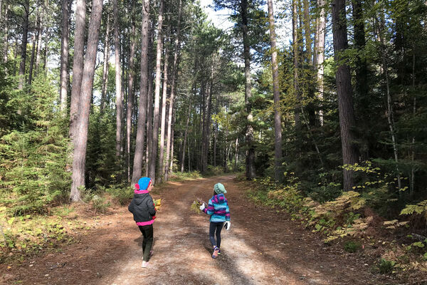 Image of Nature Walk at Aspen Trail