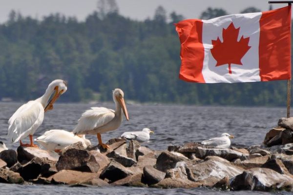 Image of Sioux Narrows-Nestor Falls Canada Day Celebrations