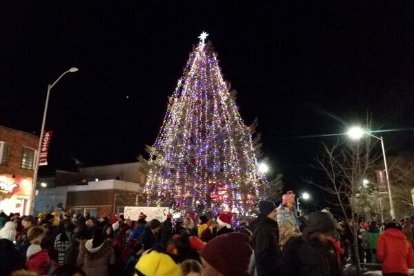 Image of Lighting of the Main Street Tree 