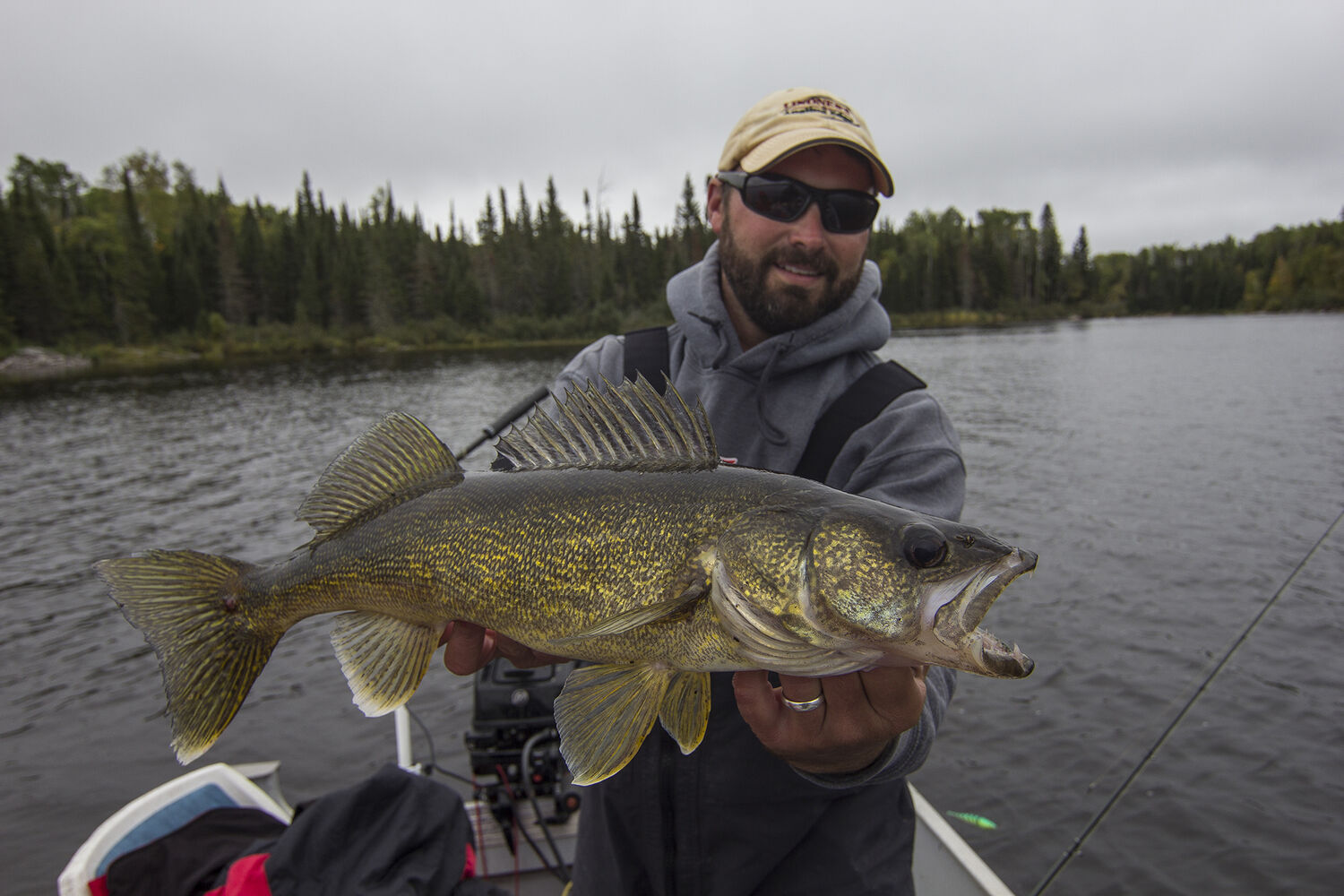 5 Reasons to go Walleye Fishing in Sunset Country