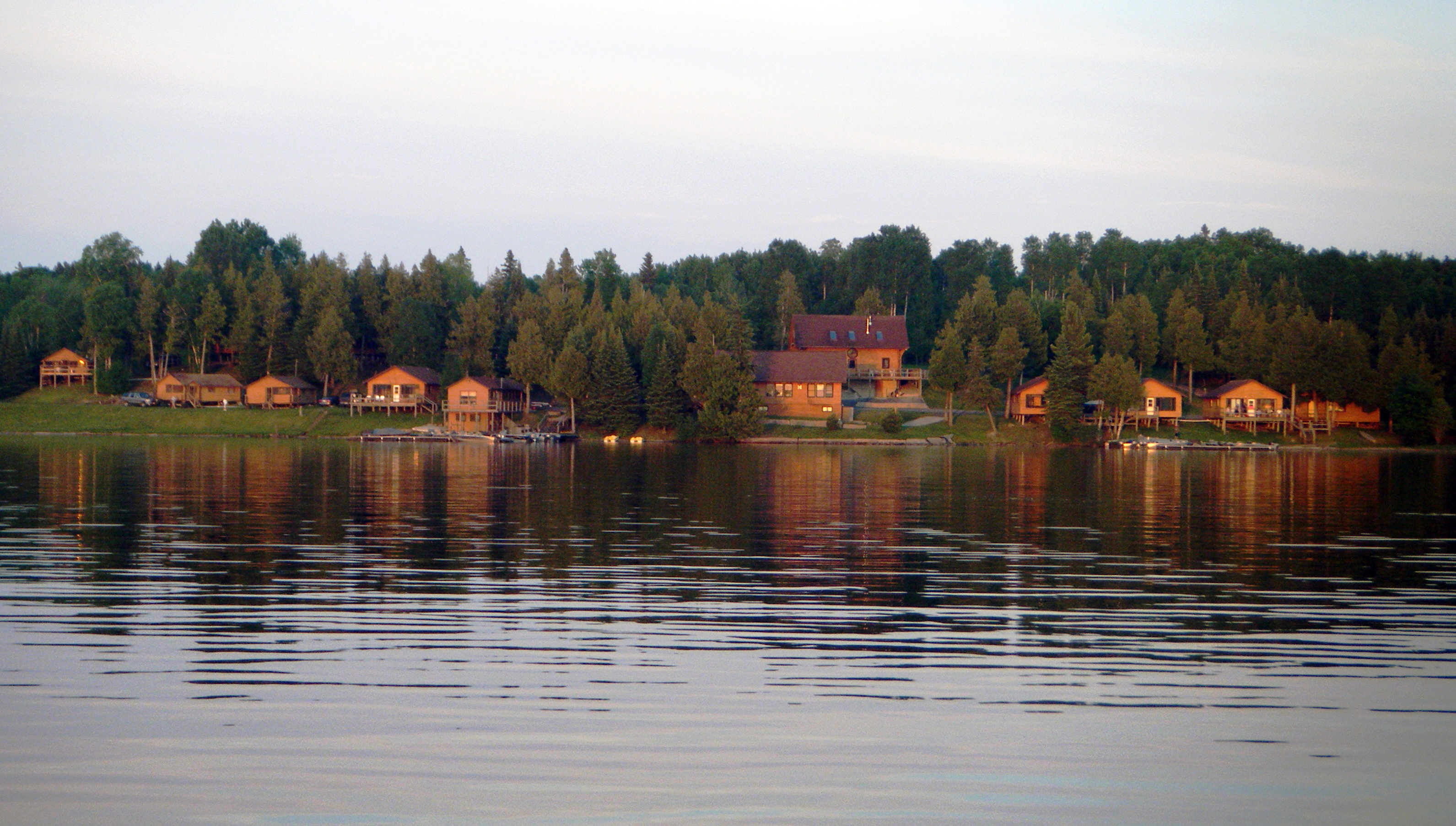 Tall Pines Ontario Canada